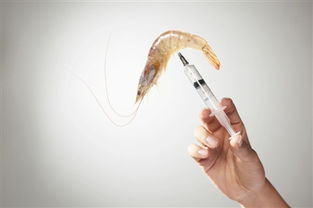 注胶水产品与日用品的安全隐忧与防范对策