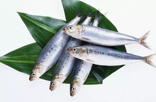 吃货贡献大，去年台州进口水产品创新高，日用百货消费活力彰显