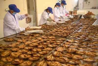 产业兴 收入增 初级农产品发展的关键路径