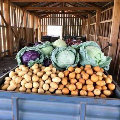 初级农产品 农业生产的基础与经济意义