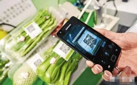 农产品可溯源技术 初级农产品的实践指南与案例