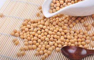 江苏镇江口岸进口大豆首破300万吨 初级农产品输入量创新高