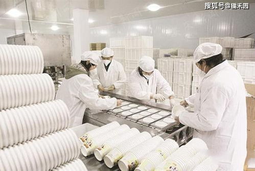 农产品进工厂 从滞销到畅销的转型升级之路