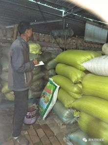 北堡乡电子商务进农村 有机种植先锋孙禄与初级农产品的破局之路