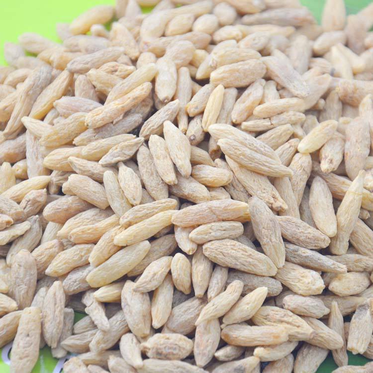 探秘道地药材 湖北产麦冬（寸冬/麦门冬）