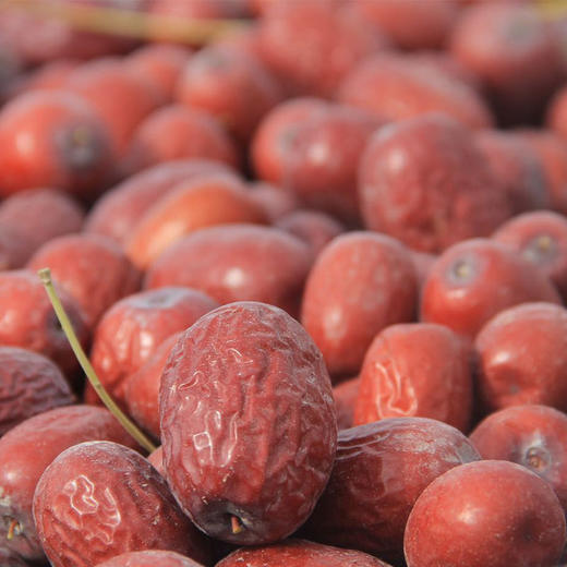 新疆树上风干枣 自然风味的甜蜜馈赠，健康生活的理想伴侣