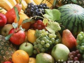 深圳送菜公司 农产品配送、食堂承包与生活配送一站式服务