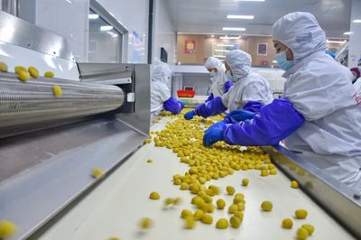 小板栗撬动大产业 青龙以“板栗+”模式，赋能乡村振兴