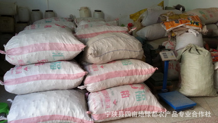 秦岭宁陕猪苓 来自深山的天然馈赠，中药材批发首选